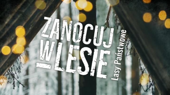 Plakat&#x20;główny&#x20;Programu&#x20;&#x22;Zanocuj&#x20;w&#x20;lesie&#x22;